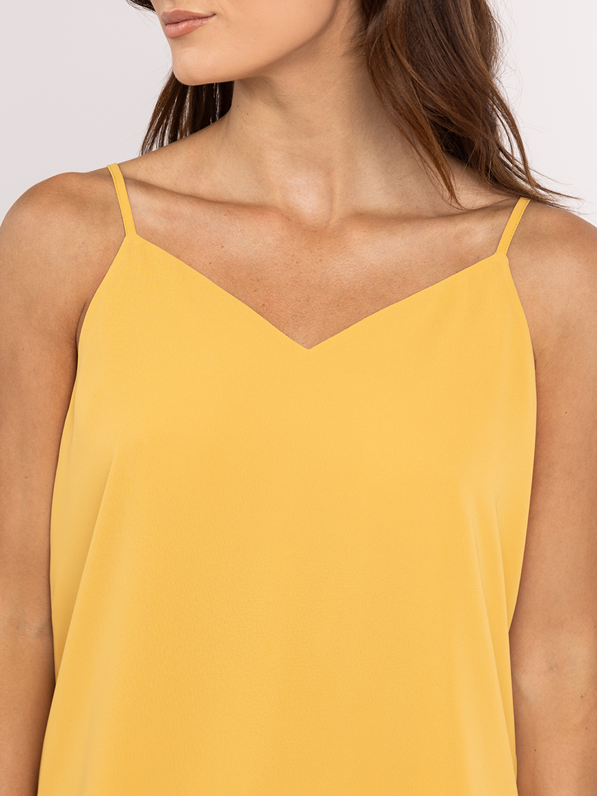 louise v neck top